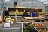 inside propagating house-1